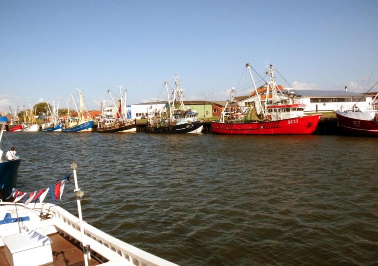 Hering Büsum